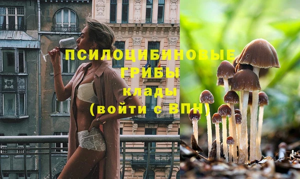 круглые Алексин