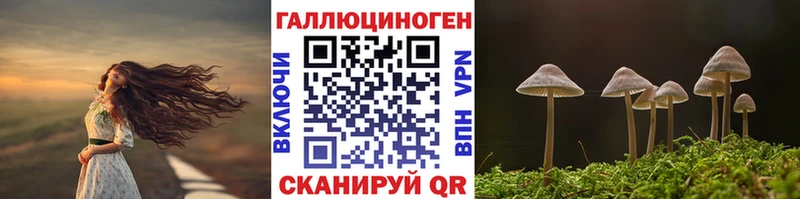 Псилоцибиновые грибы прущие грибы дарнет шоп Дзержинск